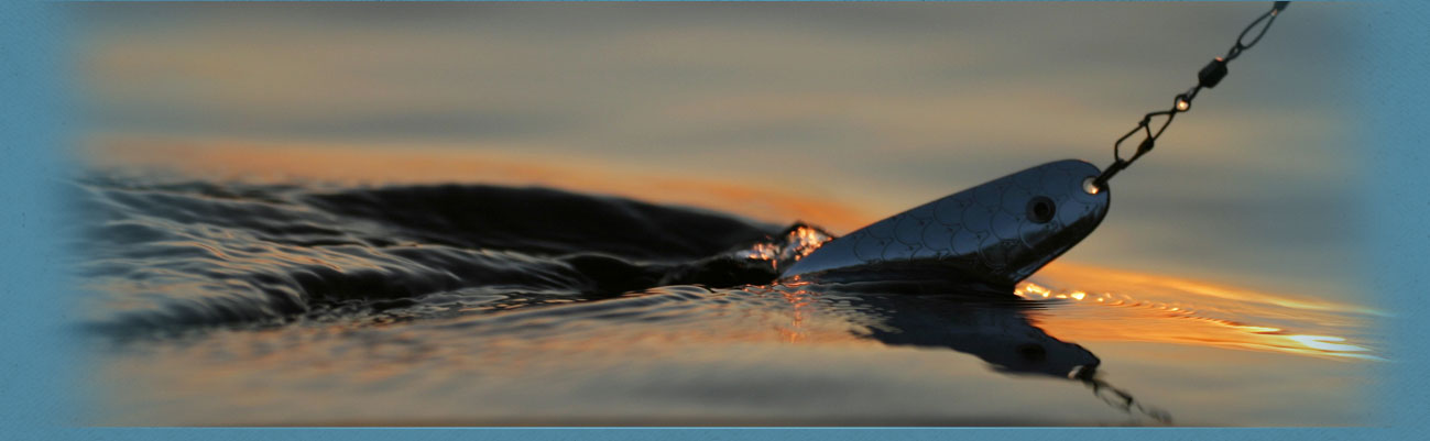 Subheader image