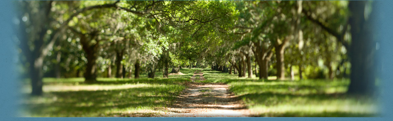 Subheader image