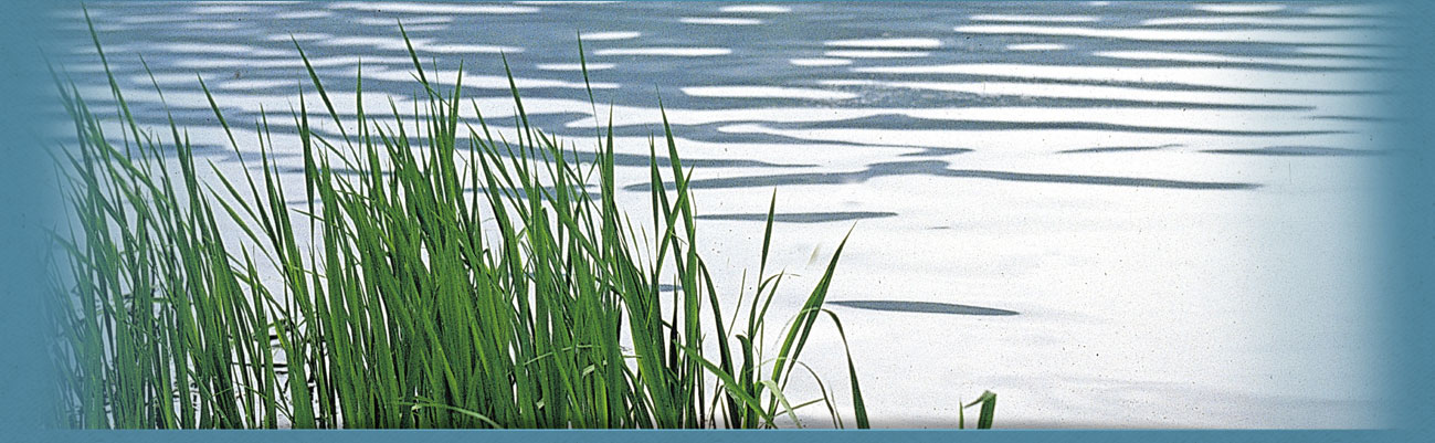 Subheader image